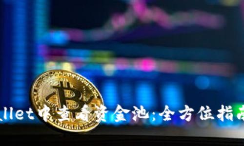 如何在TPWallet中查看资金池：全方位指南与实用技巧