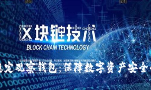 TPWallet稳定观察钱包：保障数字资产安全的理想之选