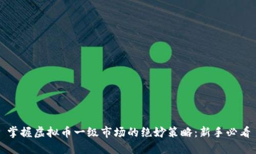 掌握虚拟币一级市场的绝妙策略：新手必看