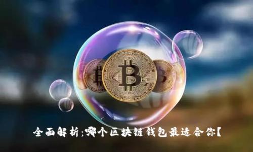 全面解析：哪个区块链钱包最适合你？