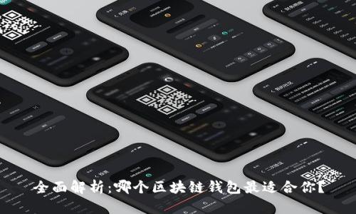 全面解析：哪个区块链钱包最适合你？