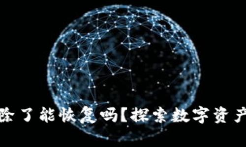 tpwallet被删除了能恢复吗？探索数字资产恢复的可能性