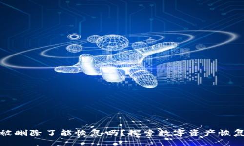 tpwallet被删除了能恢复吗？探索数字资产恢复的可能性