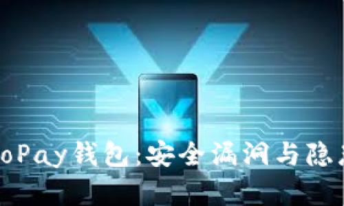 探秘GoPay钱包：安全漏洞与隐患解读