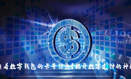 如何查看数字钱包的卡号信息？揭开数字支付的神秘面纱