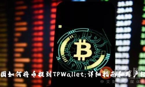 币团如何将币提到TPWallet：详细指南和用户经验