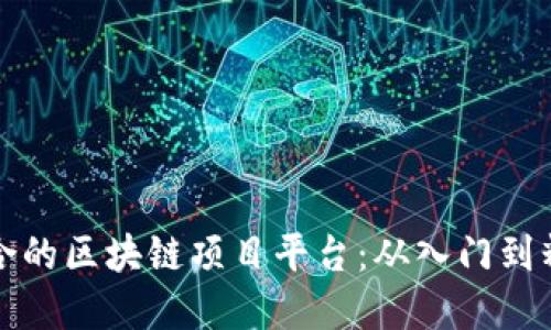 如何选择最适合的区块链项目平台：从入门到精通的全面指南