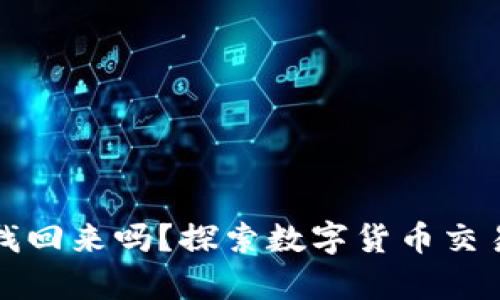 tpwallet转错账能找回来吗？探索数字货币交易的迷思与解决方案