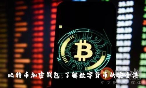 比特币加密钱包：了解数字货币的安全港