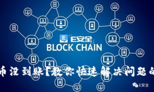 TPWallet买币没到账？教你快速解决问题的技巧和步骤