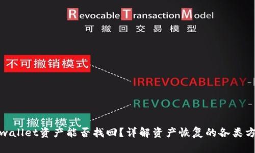 tpwallet资产能否找回？详解资产恢复的各类方案