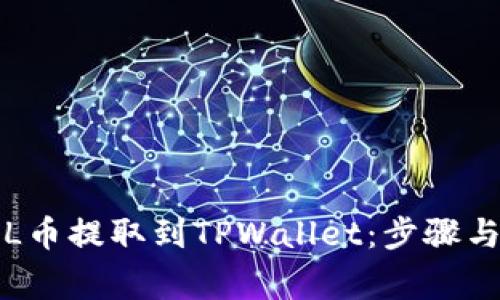 如何将FIL币提取到TPWallet：步骤与注意事项