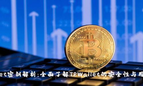 TPWallet密钥解析：全面了解TPWallet的安全性与用户体验