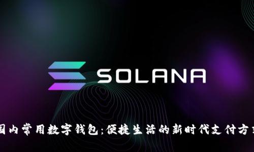 国内常用数字钱包：便捷生活的新时代支付方式
