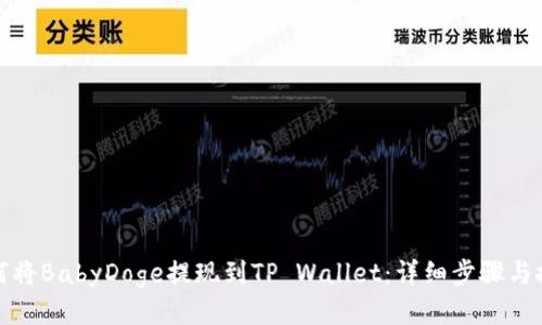 如何将BabyDoge提现到TP Wallet：详细步骤与技巧