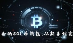 如何选择最适合的SOL币钱包：从新手到高手的全