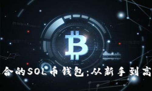 如何选择最适合的SOL币钱包：从新手到高手的全面指南