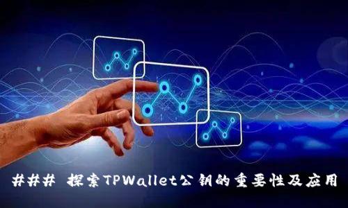 ### 探索TPWallet公钥的重要性及应用