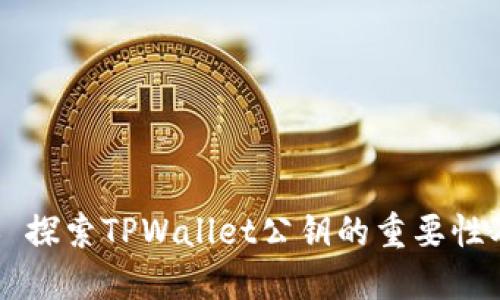 ### 探索TPWallet公钥的重要性及应用