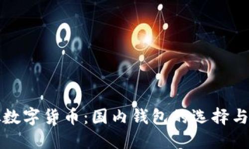 探索虚拟数字货币：国内钱包的选择与使用指南