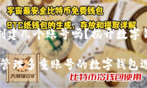 tpwallet可以创建几个账号吗？揭开数字钱包的神秘面纱

tpwallet：轻松管理多重账号的数字钱包选择