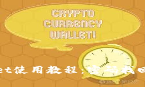 TPWallet使用教程：密码找回全攻略