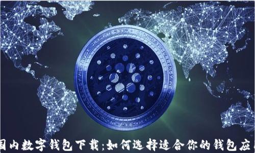 
国内数字钱包下载：如何选择适合你的钱包应用