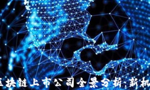 
2023年中国区块链上市公司全景分析：新机遇与挑战并存