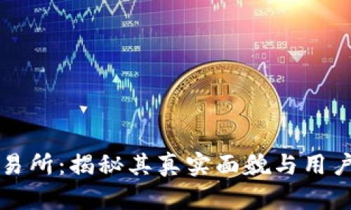 OK交易所：揭秘其真实面貌与用户体验