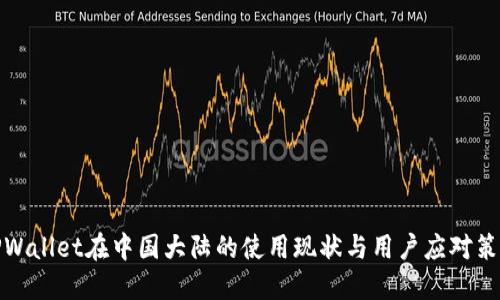 TPWallet在中国大陆的使用现状与用户应对策略