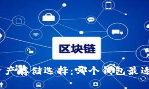 数字资产存储选择：哪个钱包最适合你？