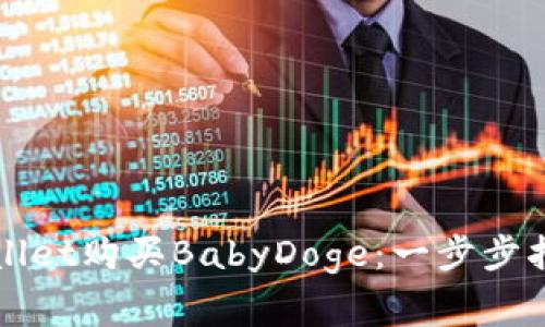 如何通过TPWallet购买BabyDoge：一步步指南与注意事项