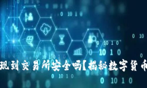 tpwallet提现到交易所安全吗？揭秘数字货币安全的真相