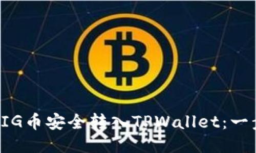如何将PIG币安全转入TPWallet：一步步指南
