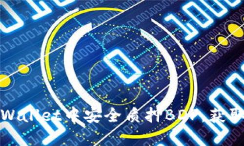 如何在TPWallet中安全质押BDP，获取高额收益