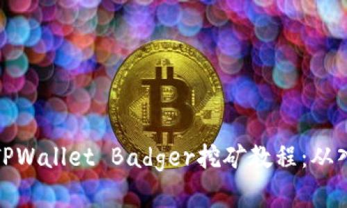 全面解析TPWallet Badger挖矿教程：从入门到精通