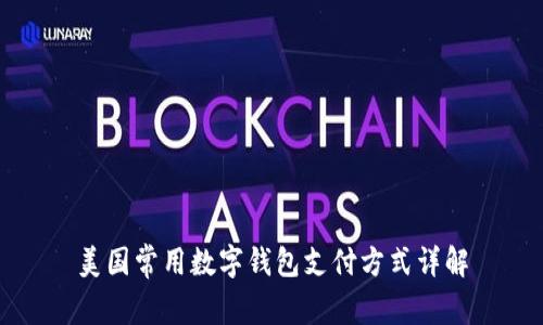 美国常用数字钱包支付方式详解