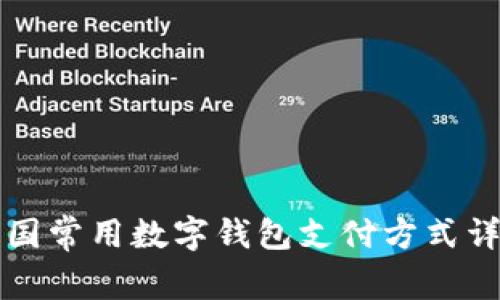 美国常用数字钱包支付方式详解