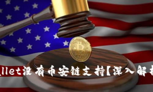 为什么TPWallet没有币安链支持？深入解析与解决方案