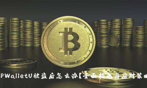 TPWalletU被盗后怎么办？全面指南与应对策略