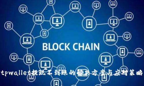 tpwallet提现不到账的解决方案与应对策略