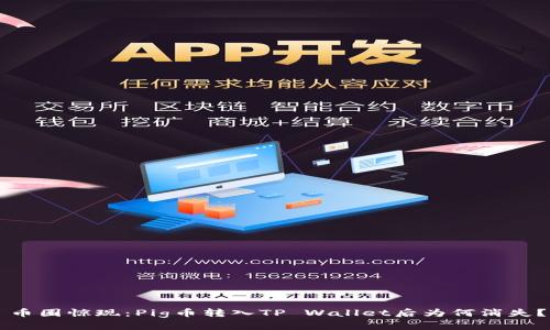 币圈惊现：Pig币转入TP Wallet后为何消失？