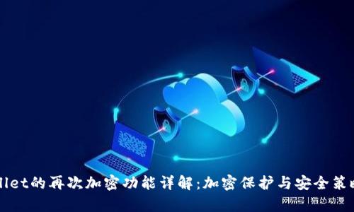 TPWallet的再次加密功能详解：加密保护与安全策略分析