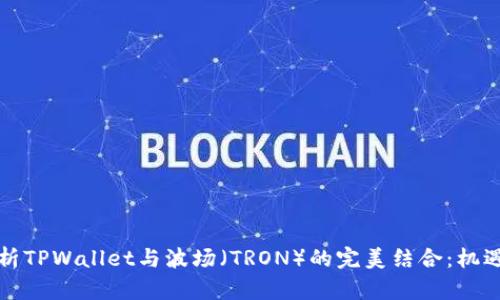 深入解析TPWallet与波场（TRON）的完美结合：机遇与挑战