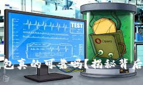区块链电子钱包真的可靠吗？揭秘背后的真相与未来