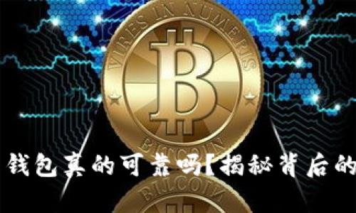 区块链电子钱包真的可靠吗？揭秘背后的真相与未来