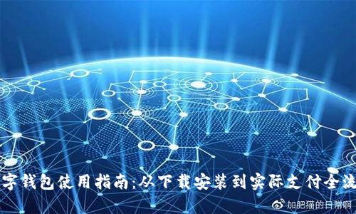 中国数字钱包使用指南：从下载安装到实际支付全流程解析