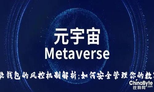 USDT软钱包的风控机制解析：如何安全管理你的数字资产