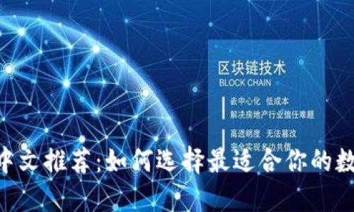 区块链钱包APP中文推荐：如何选择最适合你的数字资产管理工具