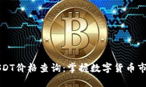 实时USDT价格查询：掌握数字货币市场脉搏